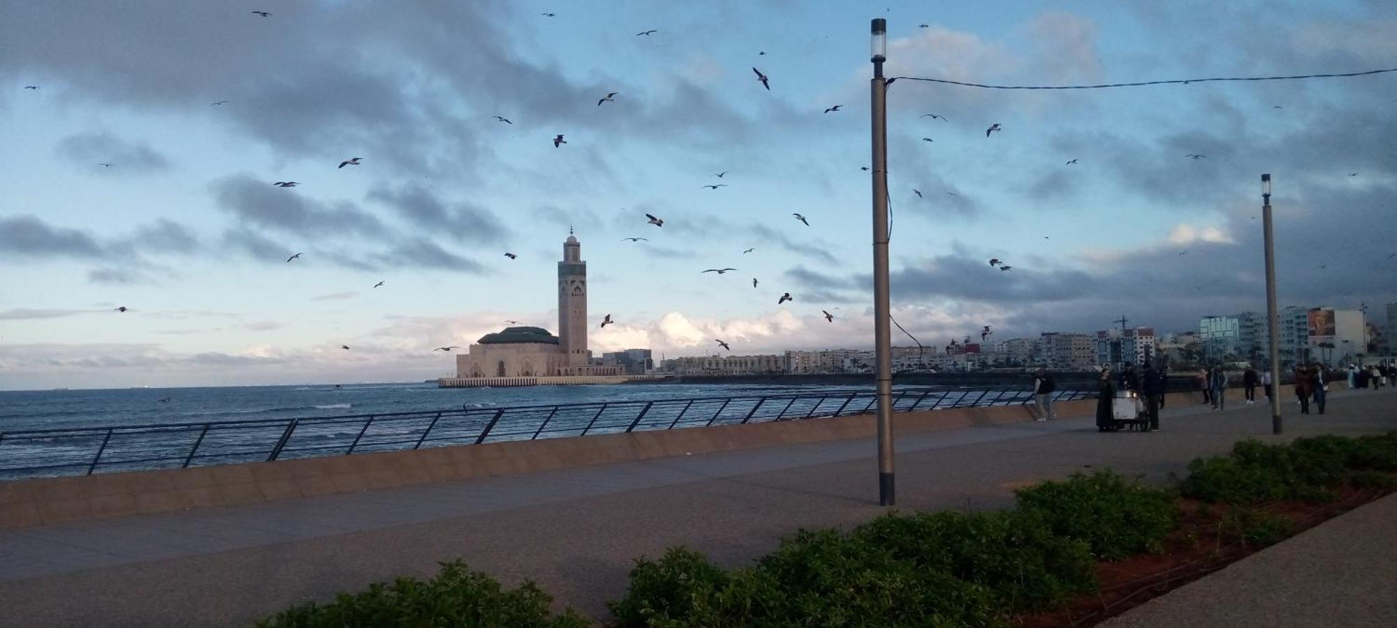 Moroccan Teguemi Casablanca Buitenkant foto
